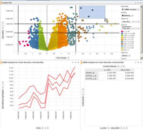 Spotfire consulting